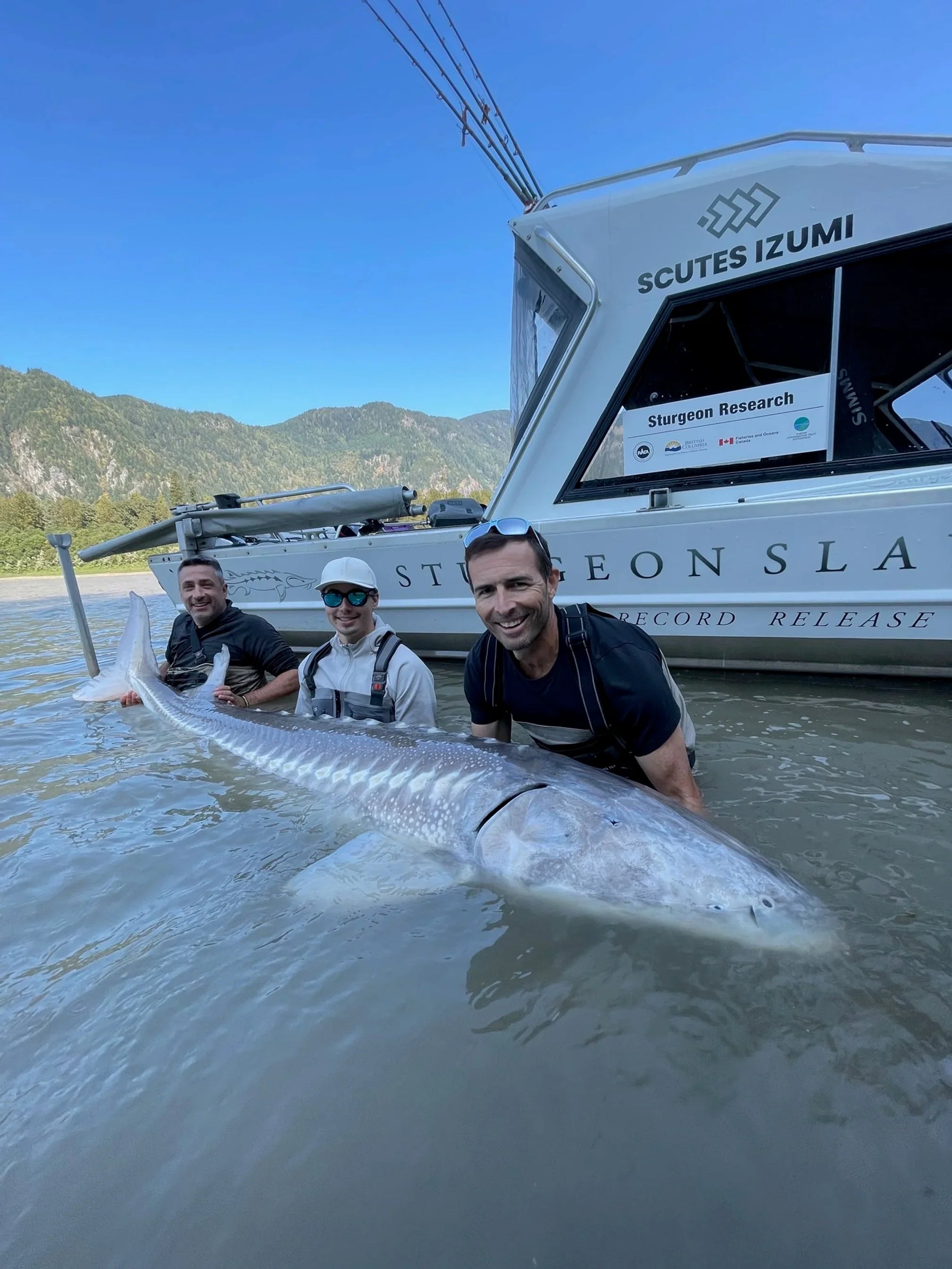 What is Sturgeon Fishing?