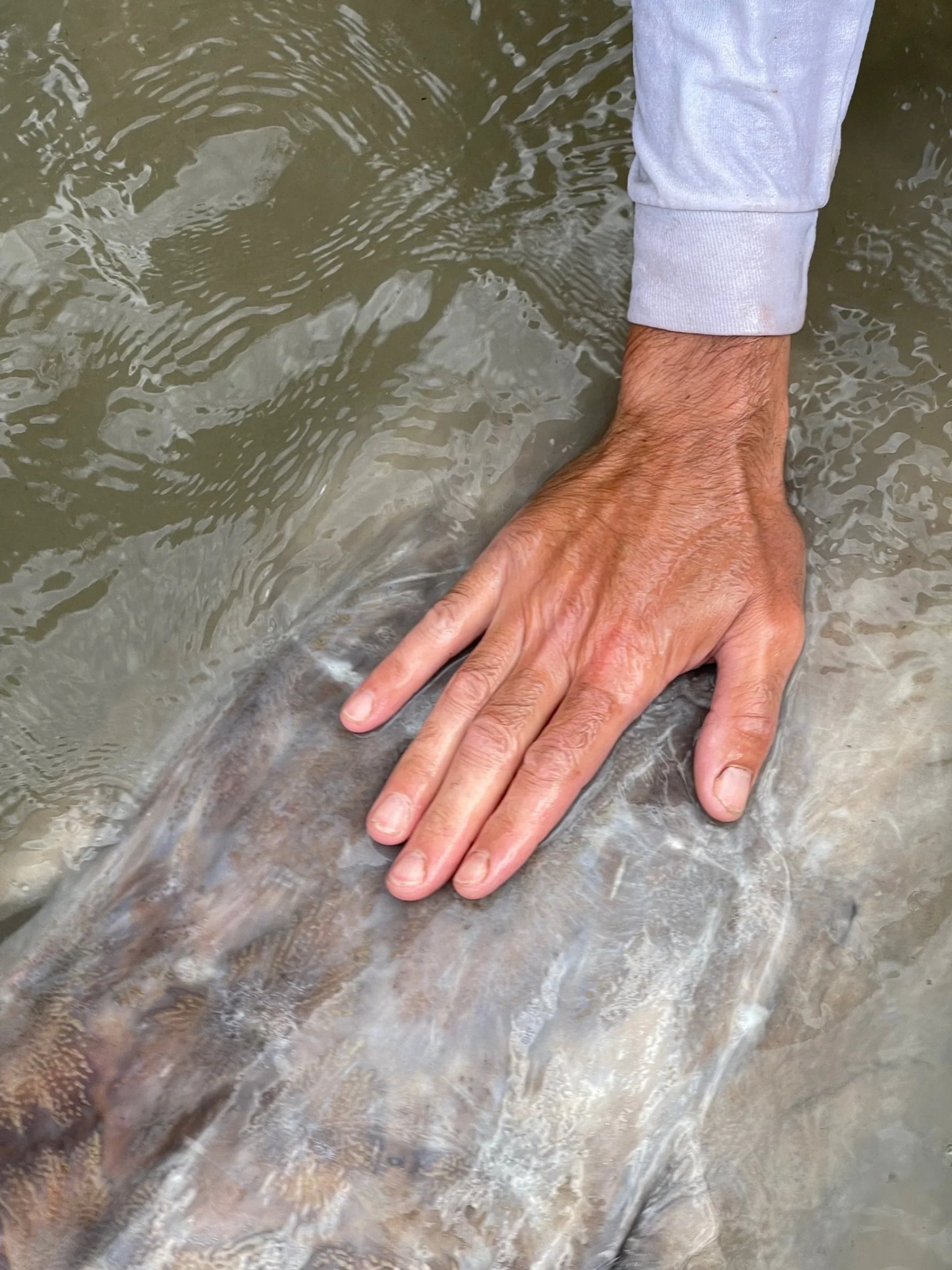 Why Catch and Release Fishing is Ethical