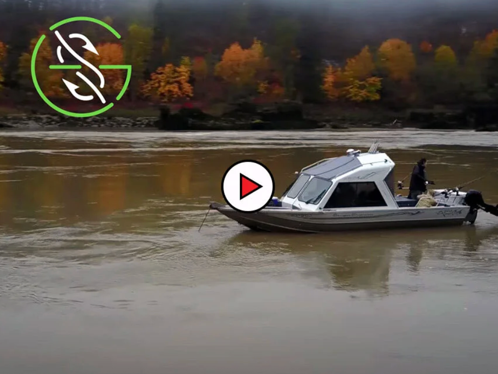 Boat on a river with autumn foliage and a logo in the corner sturgeon fraser river 